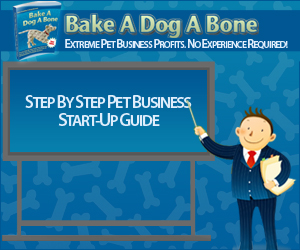 Create A Pet Business